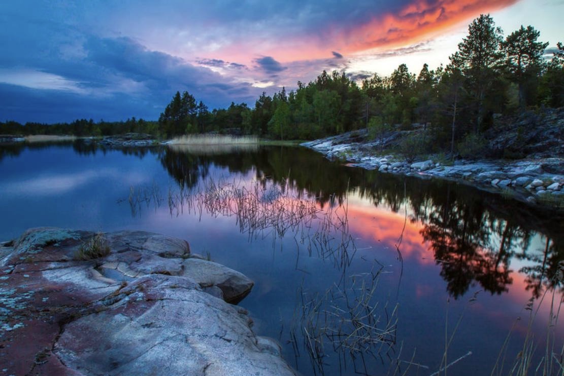 Река и лес в Карелии на закате