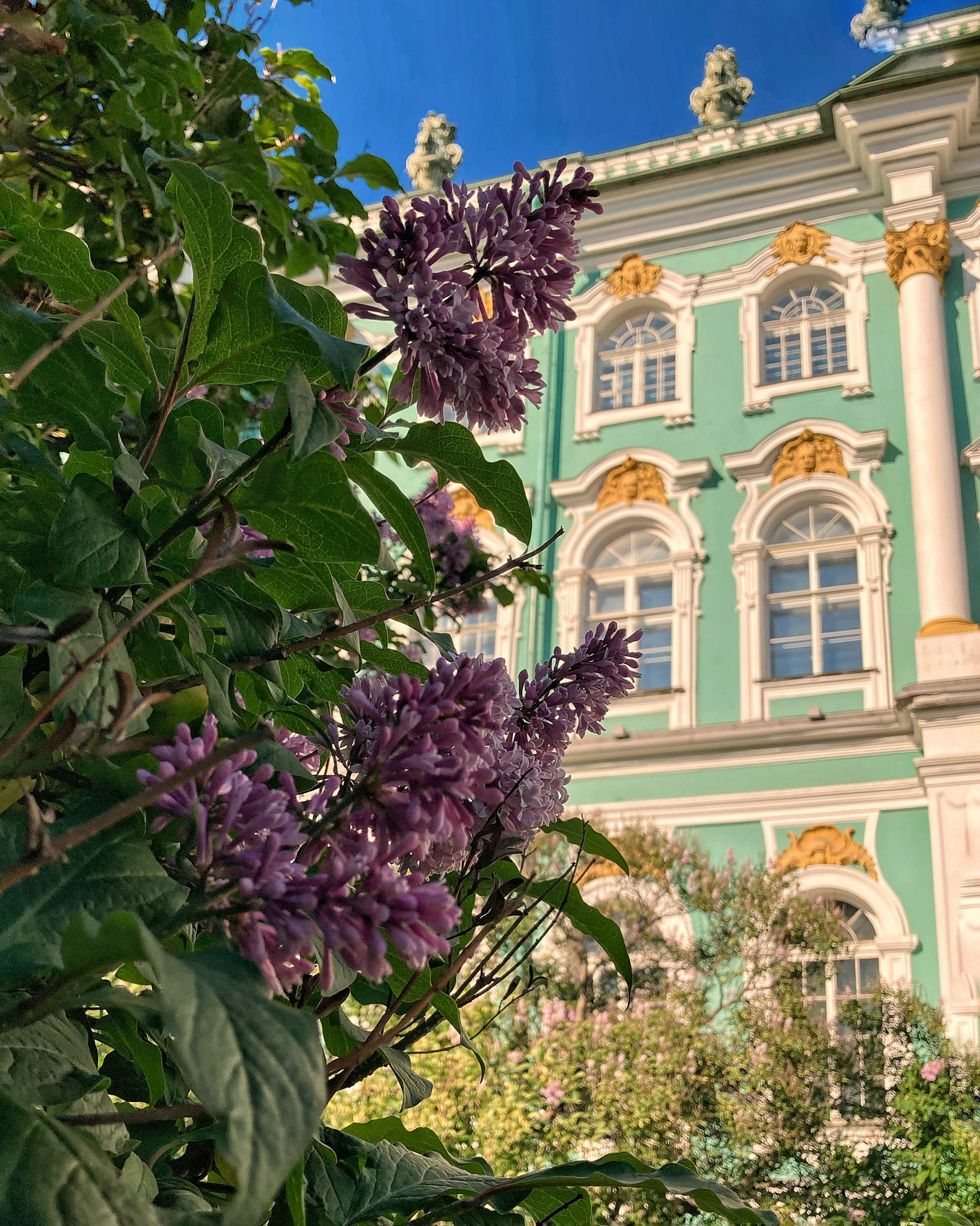 Эрмитаж, Петербург