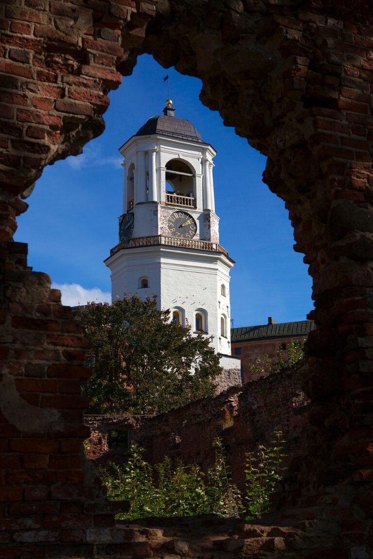 vyborg-chasovaya-bashnya.jpg