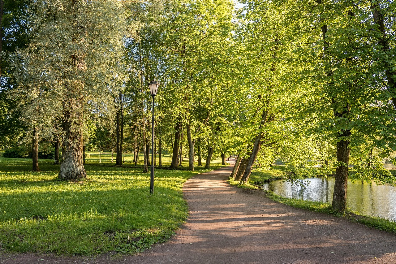 Гатчинский парк