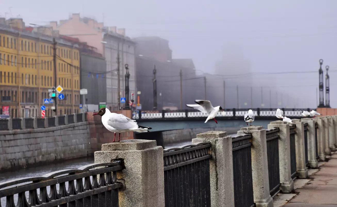 Экскурсия «Бандитский Петербург»